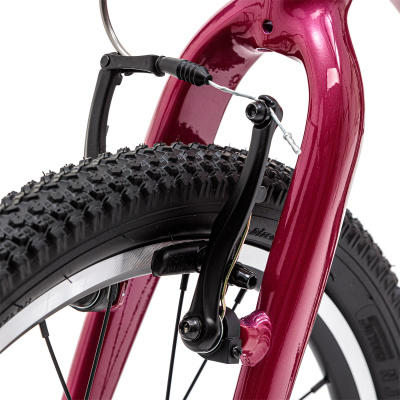 Картинка Детский велосипед Welt  Moovix 1.0 20 V Electric Pink от магазина Адреналин Детский велосипед Welt  Moovix 1.0 20 V Electric Pink от магазина Адреналин