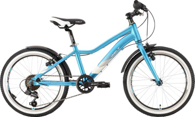 Детский велосипед Welt Edelweiss 20R 2021_Tiffany blue Детский велосипед Welt Edelweiss 20R 2021_Tiffany blue